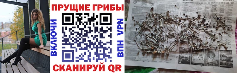 Галлюциногенные грибы Magic Shrooms Кунгур
